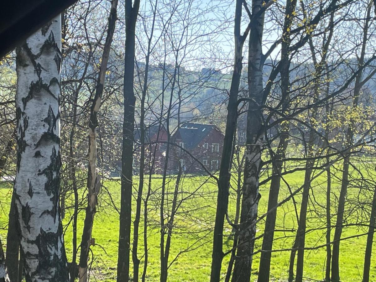 Včelí chata Mirda Pirda Dolní Moravice Exteriér fotografie